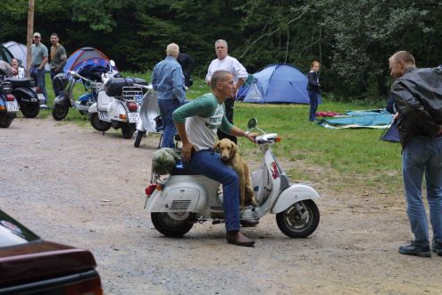 Bild in Originalgröße öffnen