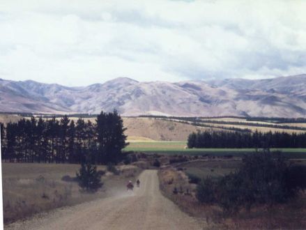 Bild in Originalgröße öffnen