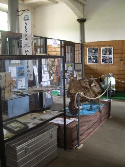 Bild in Originalgröße öffnen